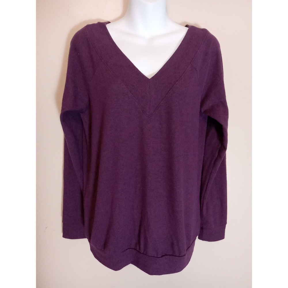Wantable Women‎ Eggplant Purple Vneck Longsleeve Sweater Size Small